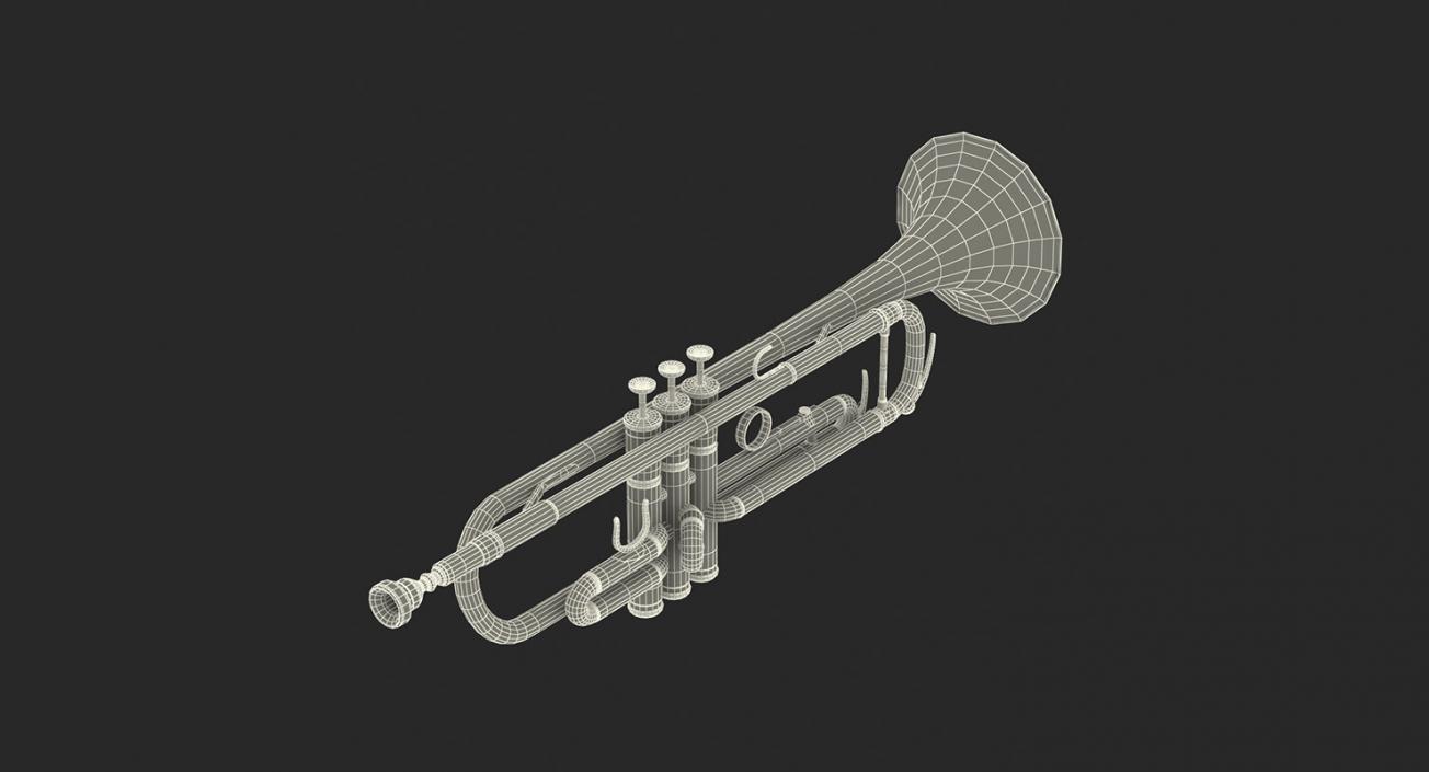 Wind Instruments 3D Models Collection 4 3D model