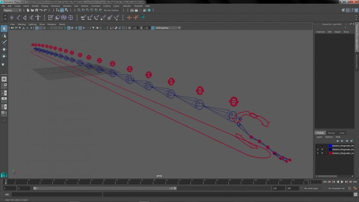 3D Eastern Kingsnake Rigged for Maya model