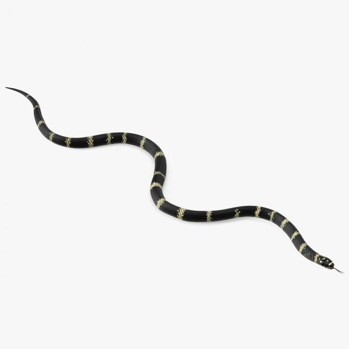 3D Eastern Kingsnake Rigged for Maya model