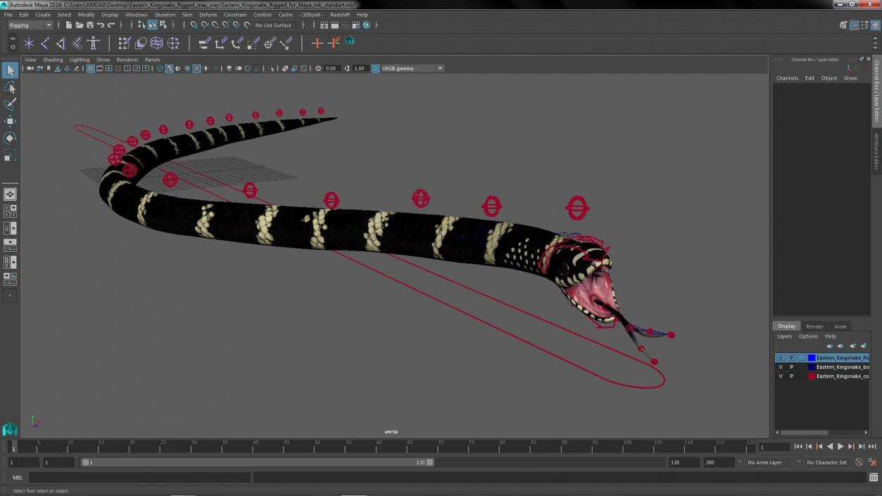 3D Eastern Kingsnake Rigged for Maya model