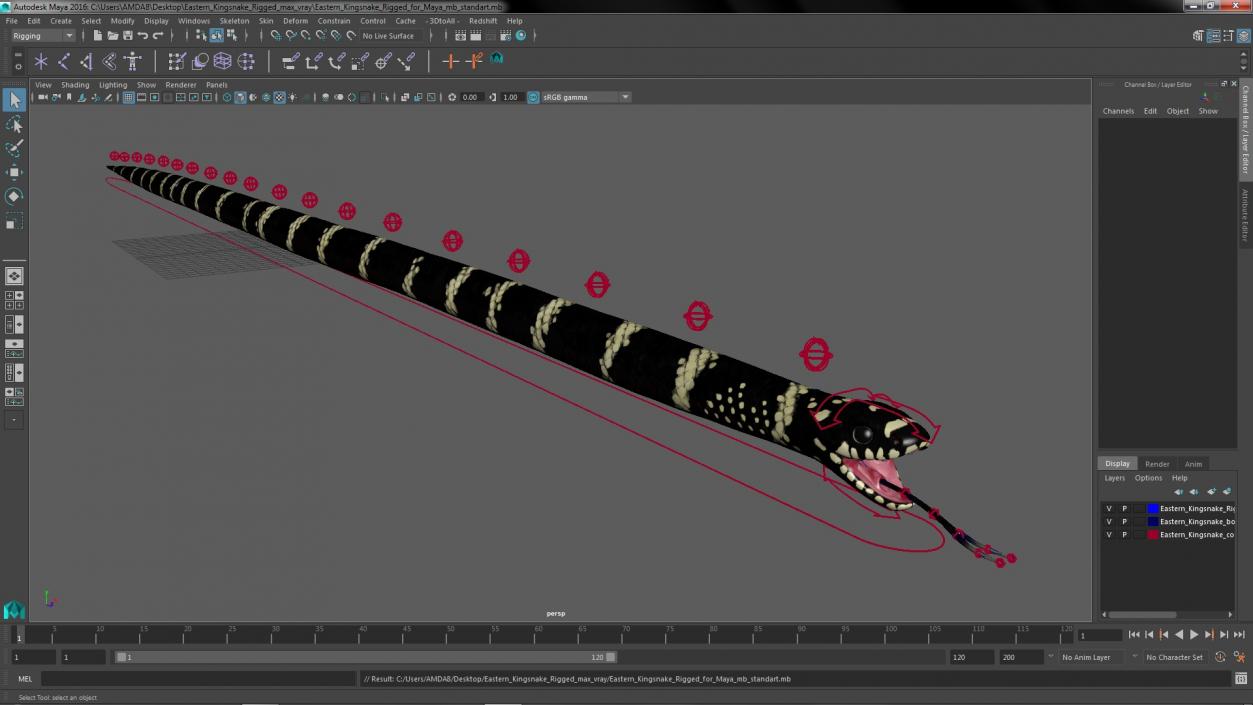 3D Eastern Kingsnake Rigged for Maya model