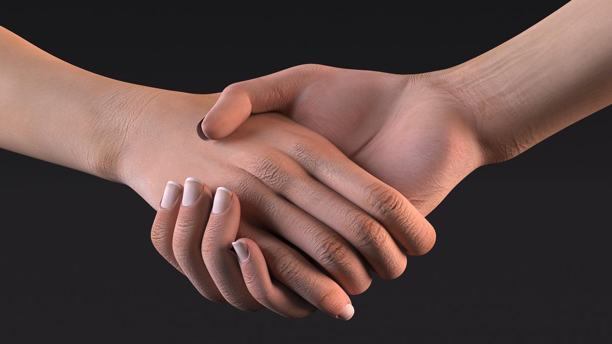 3D Handshake Female Hand Rigged model