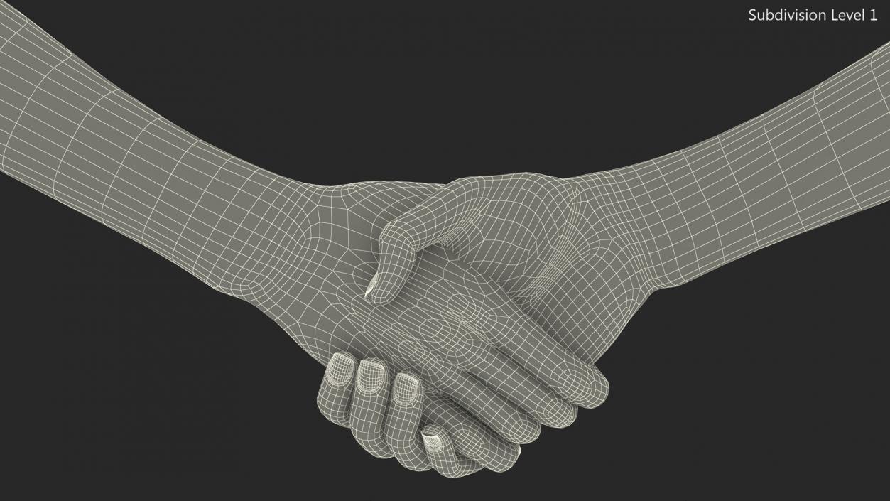 3D Handshake Female Hand Rigged model