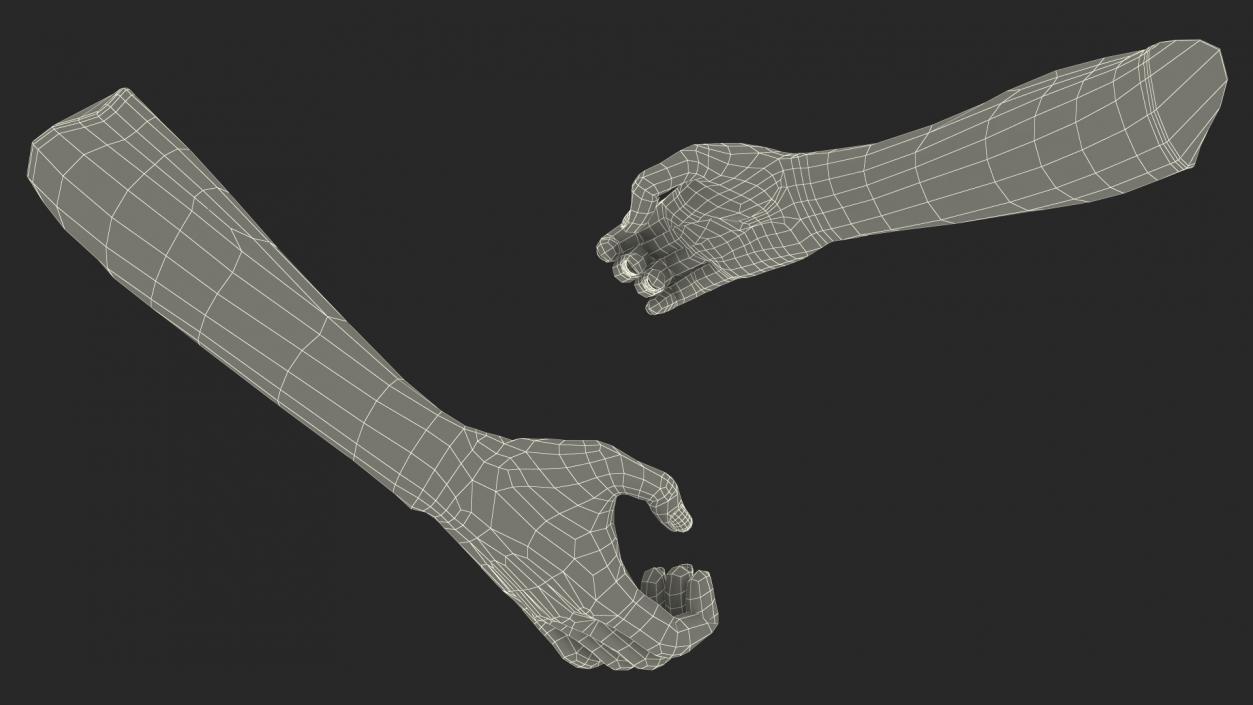 3D Handshake Female Hand Rigged model