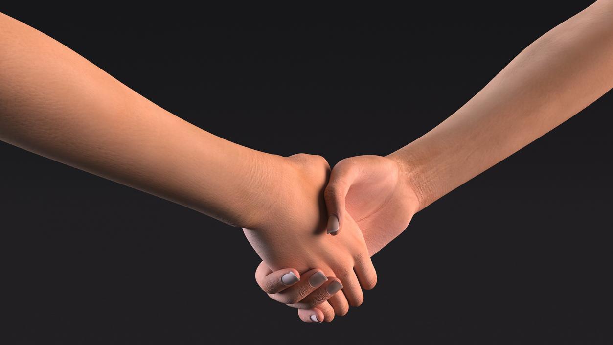 3D Handshake Female Hand Rigged model