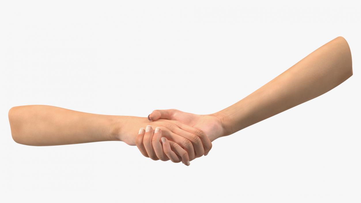 3D Handshake Female Hand Rigged model