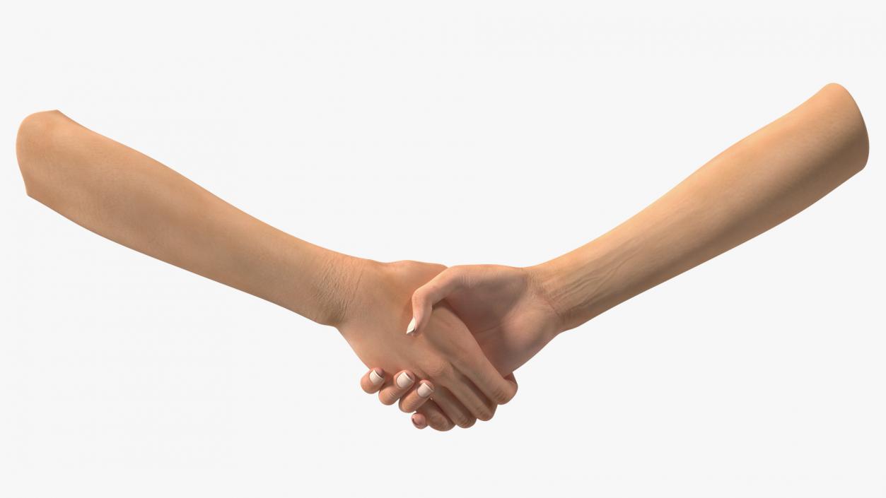 3D Handshake Female Hand Rigged model