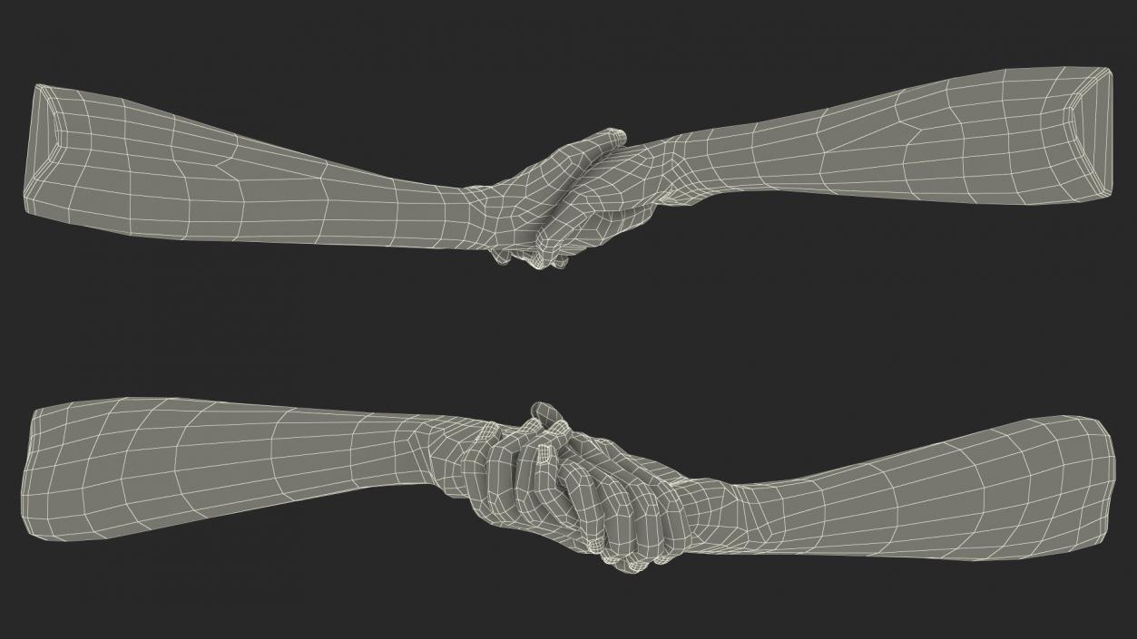 3D Handshake Female Hand Rigged model