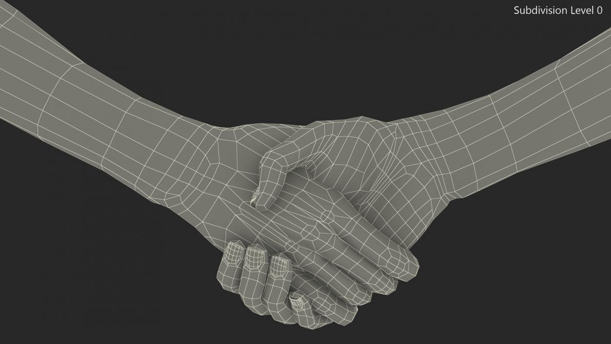 3D Handshake Female Hand Rigged model