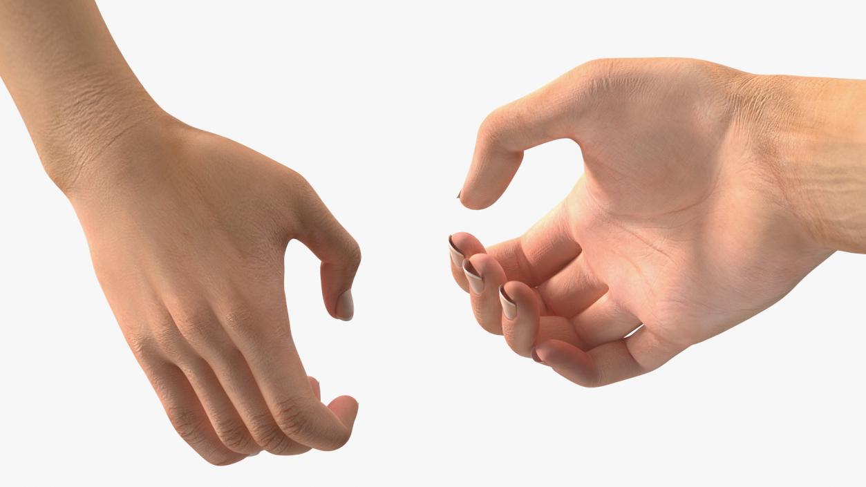 3D Handshake Female Hand Rigged model