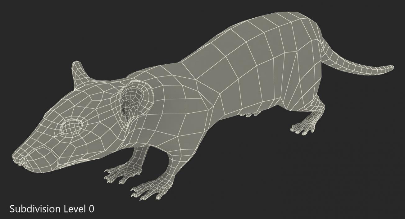 3D model Rat Rigged