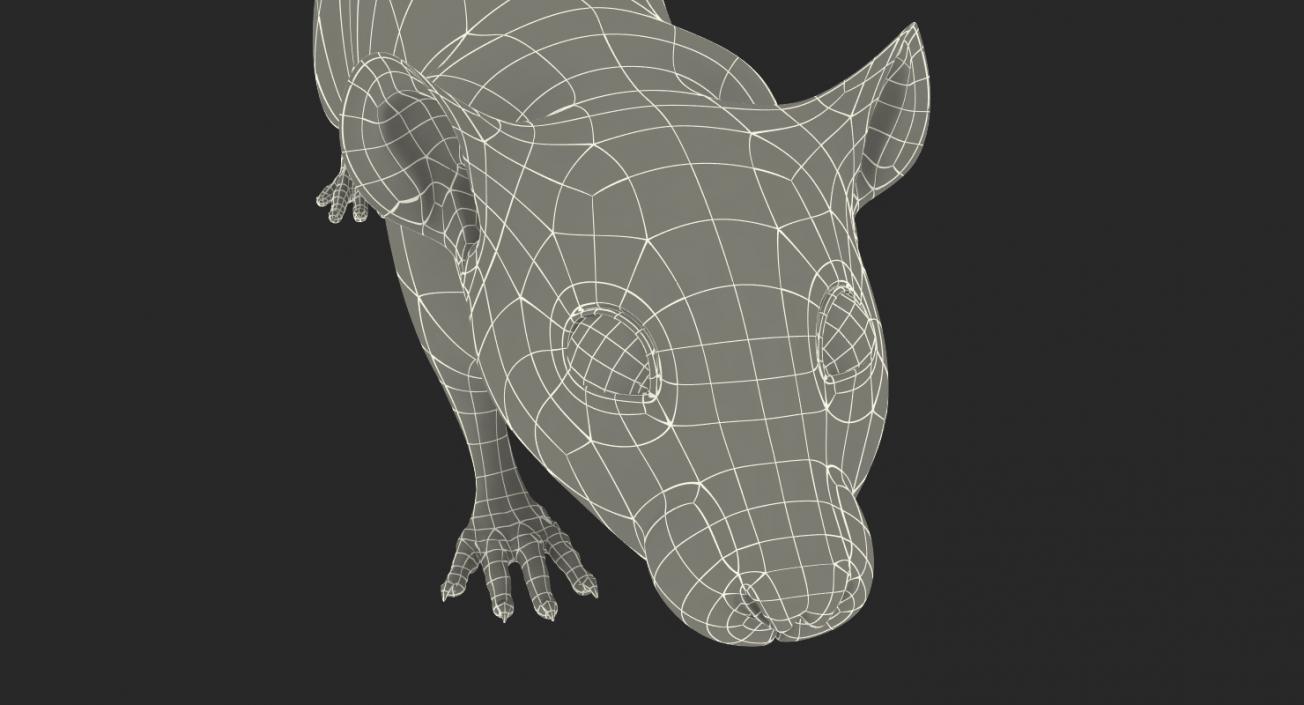 3D model Rat Rigged