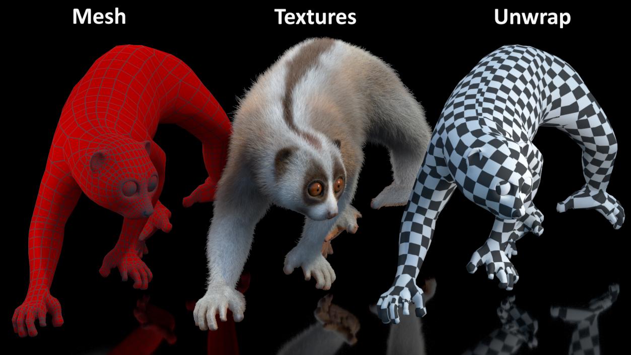 3D model Philippine Slow Loris Fur