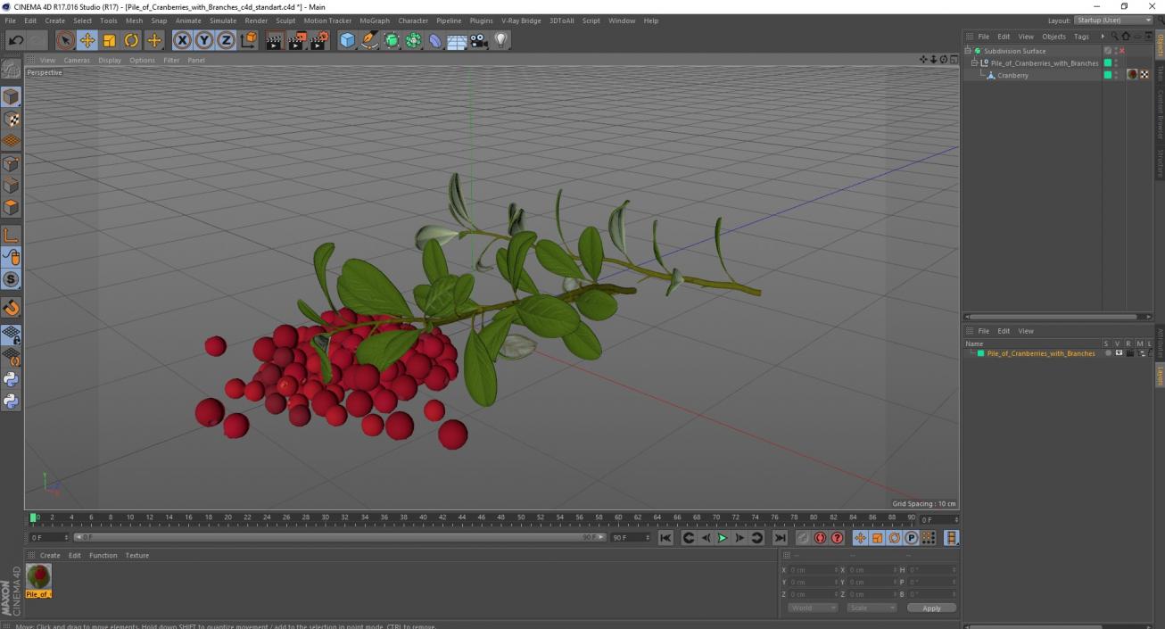 3D Pile of Cranberries with Branches model