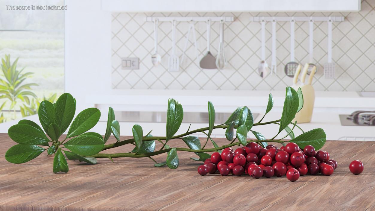 3D Pile of Cranberries with Branches model