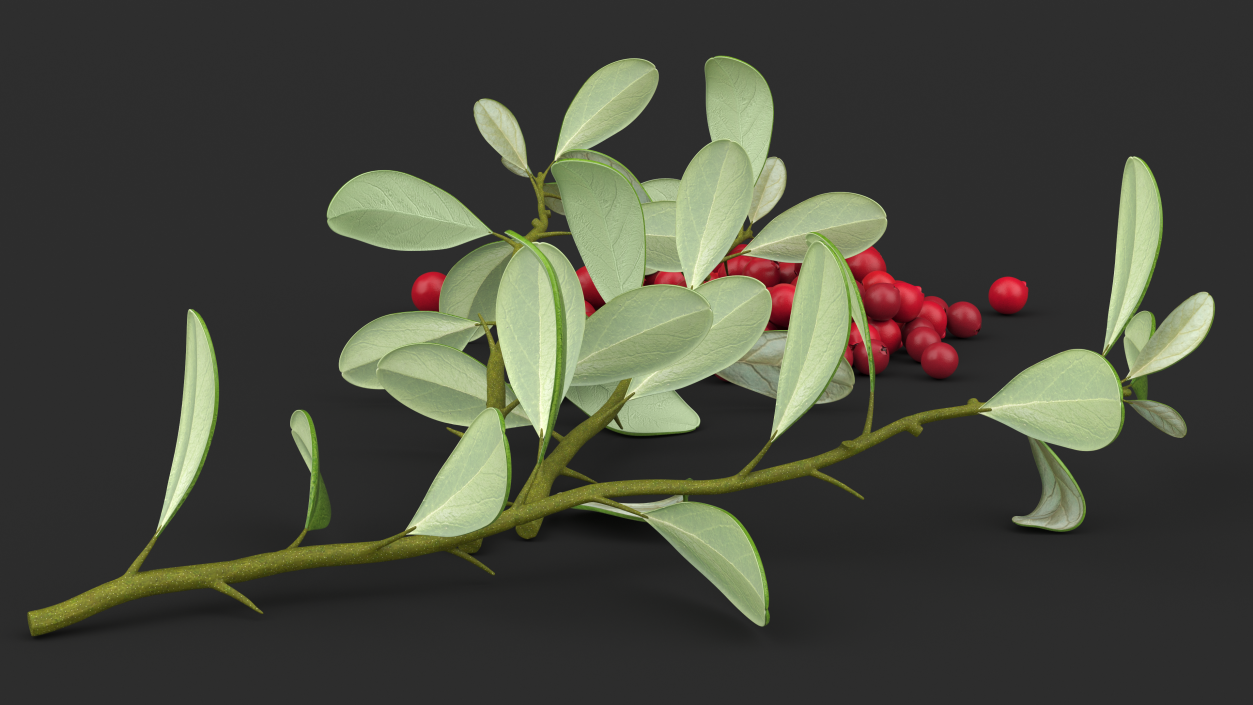 3D Pile of Cranberries with Branches model