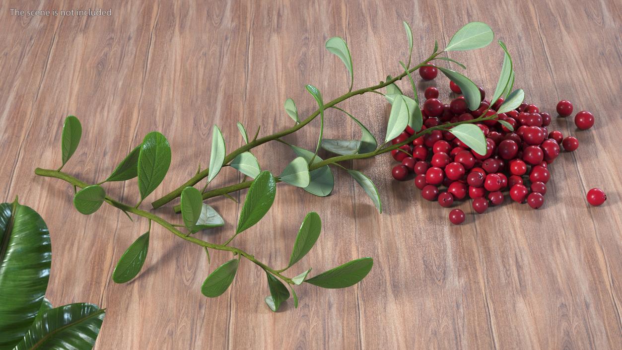 3D Pile of Cranberries with Branches model