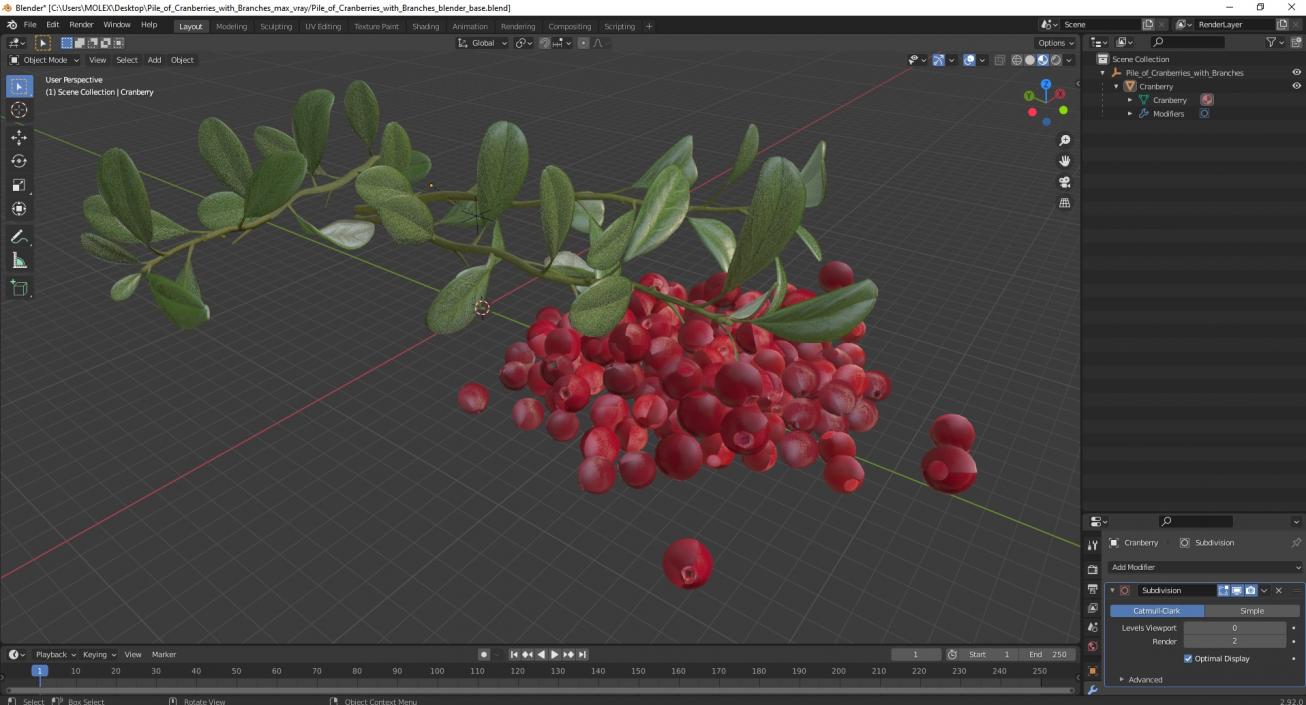 3D Pile of Cranberries with Branches model