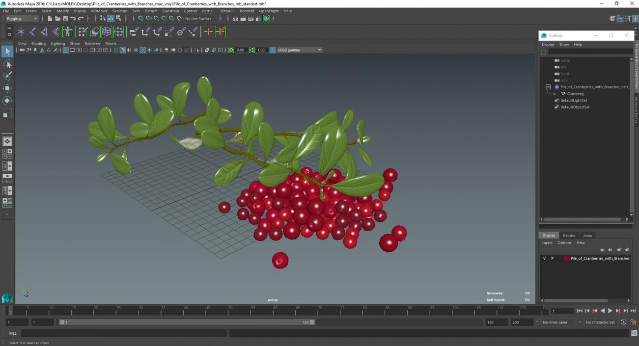 3D Pile of Cranberries with Branches model