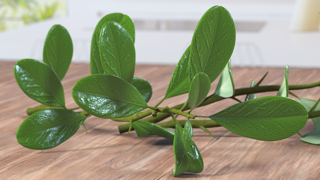 3D Pile of Cranberries with Branches model