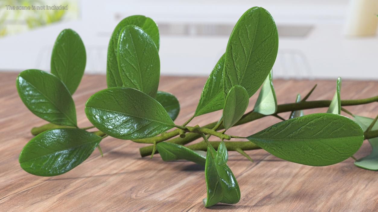 3D Pile of Cranberries with Branches model