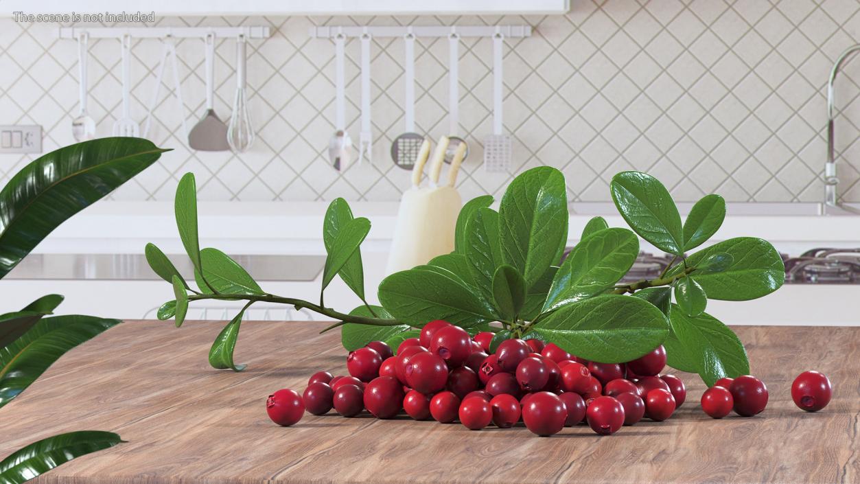 3D Pile of Cranberries with Branches model