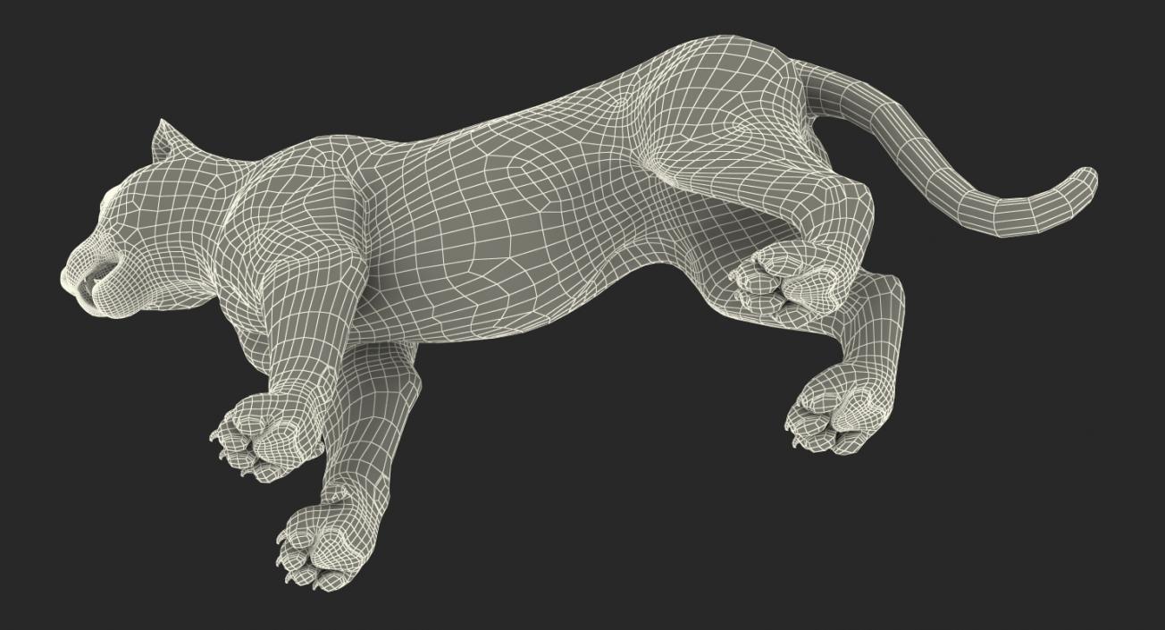 Tiger with Fur 3D model