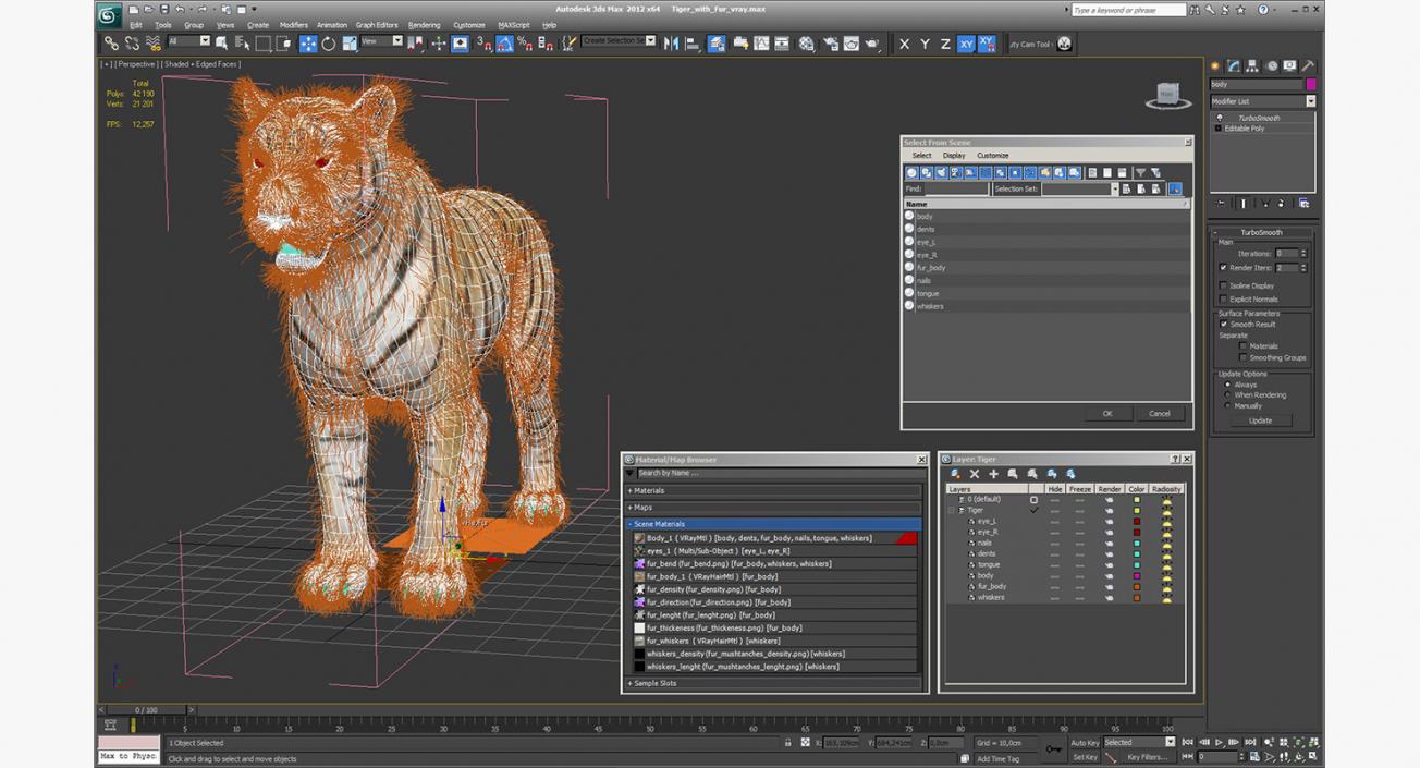 Tiger with Fur 3D model