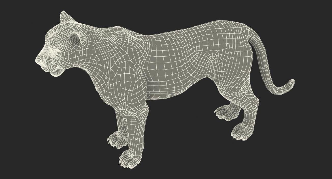 Tiger with Fur 3D model