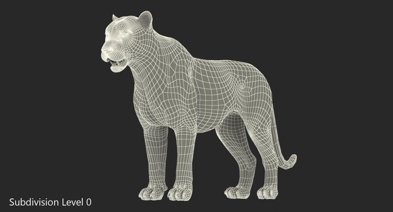 Tiger with Fur 3D model