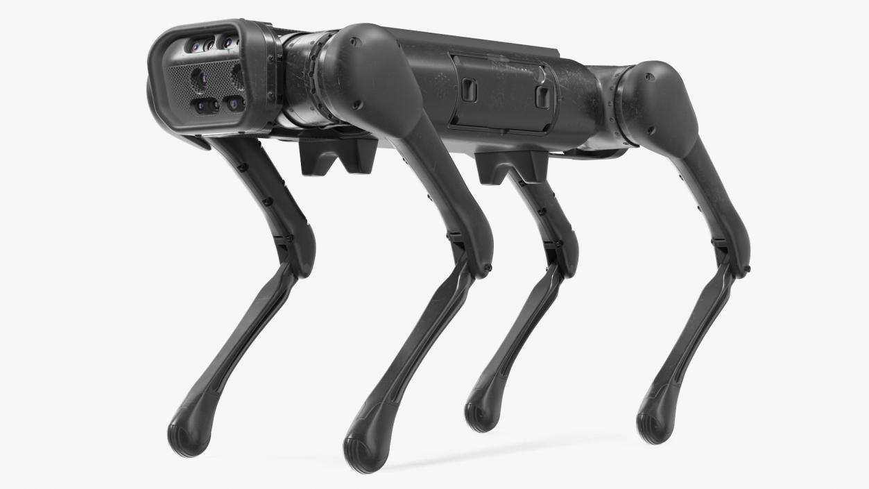 3D Dirty Aliengo Robot Dog model