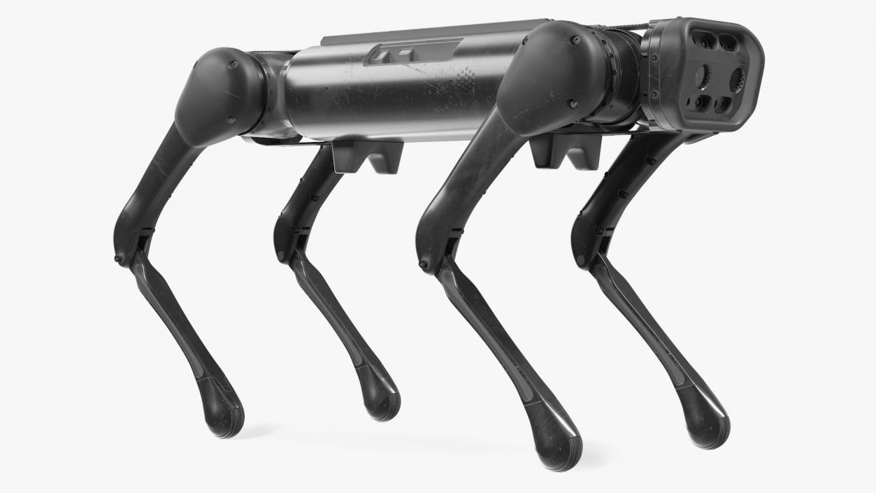 3D Dirty Aliengo Robot Dog model