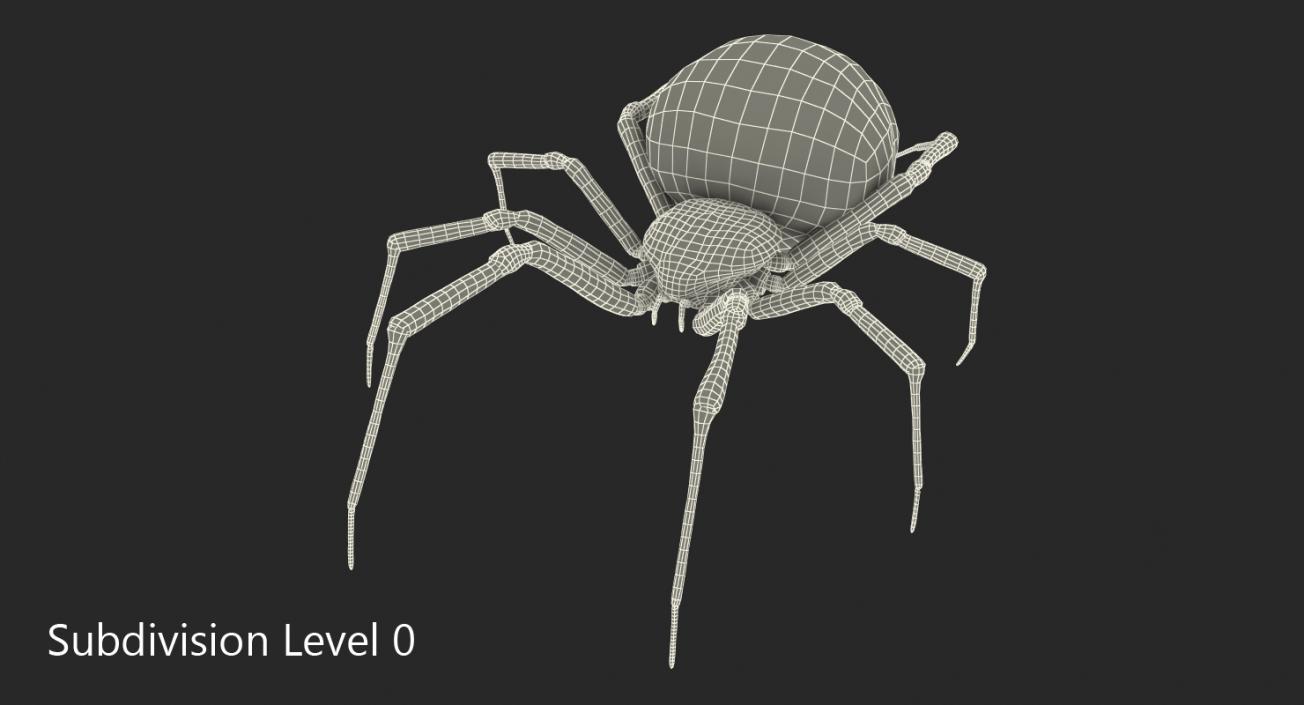 Latrodectus Spider with Fur 3D