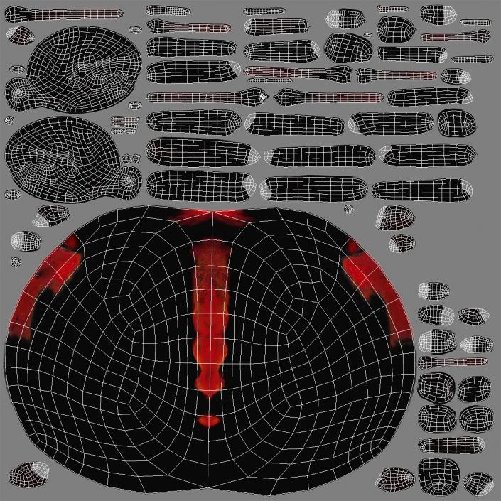 Latrodectus Spider with Fur 3D