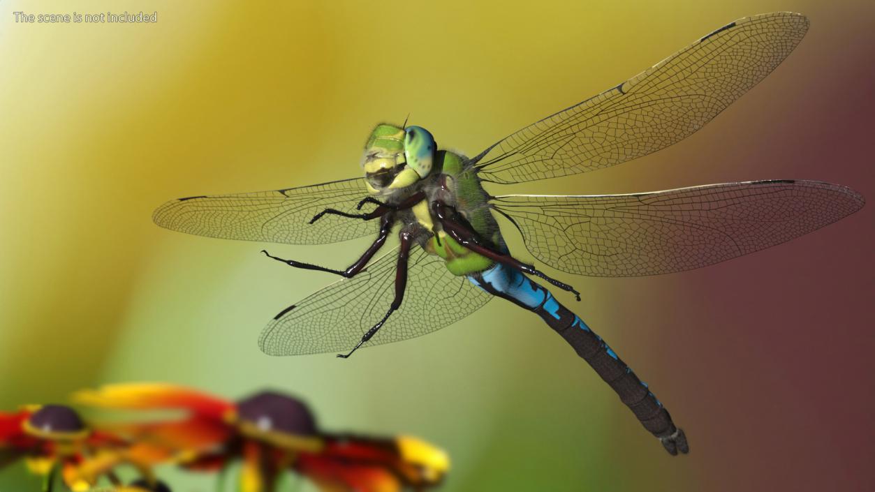 3D model Dragonfly Fur Rigged