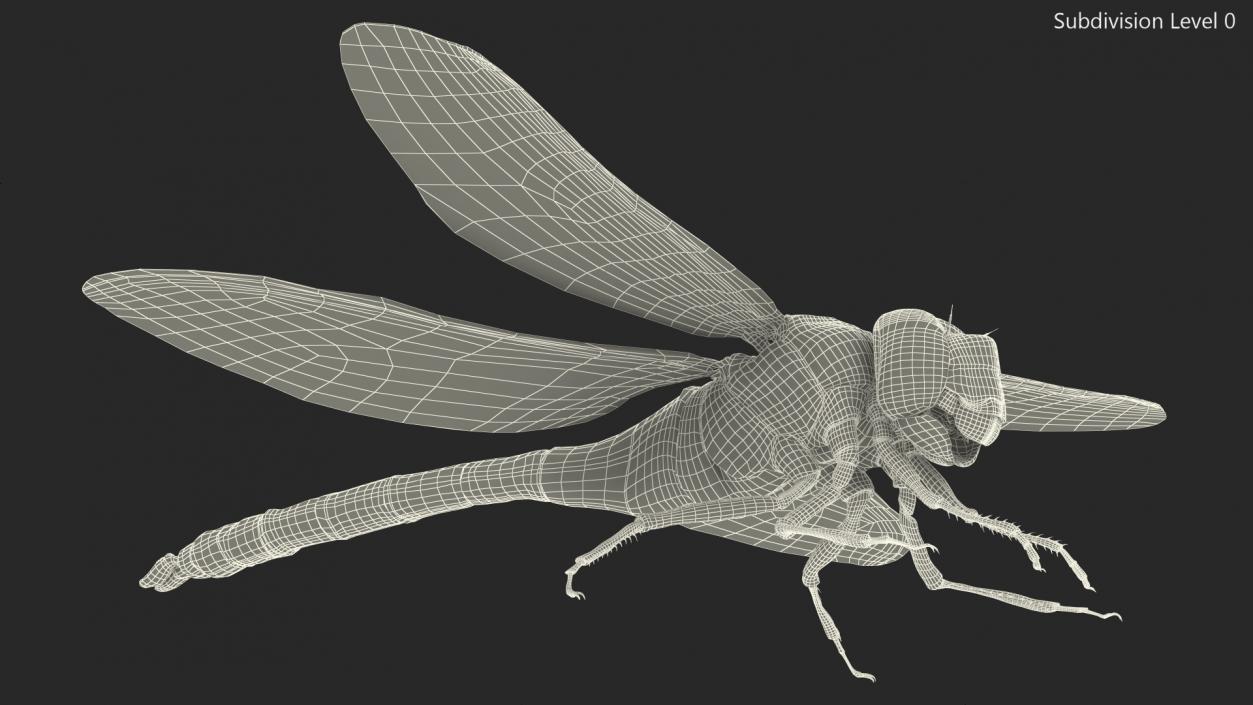 3D model Dragonfly Fur Rigged