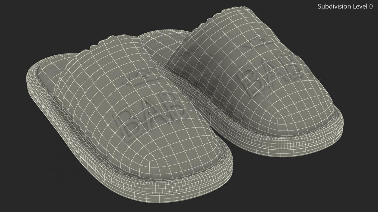 3D Kids Home Slippers model