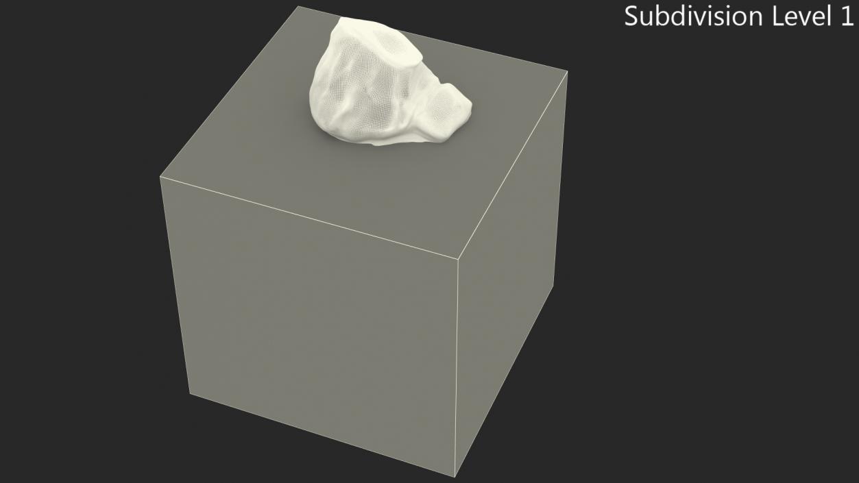 Iceberg 3D model