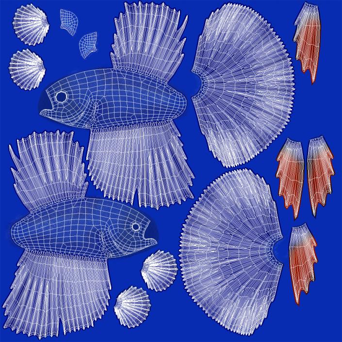 Blue Betta Fish Rigged 3D