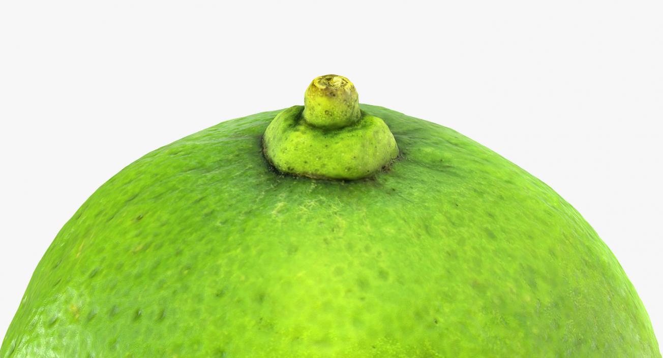 Fruits 3D Models Collection 6 3D model