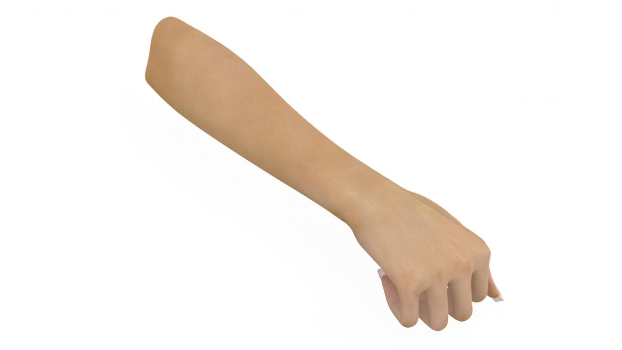 3D model Caucasian Woman Hand Fist