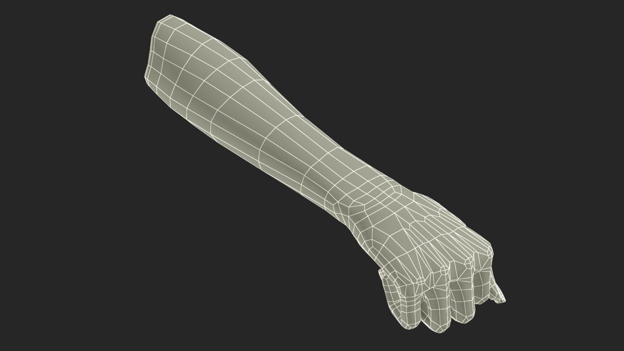 3D model Caucasian Woman Hand Fist