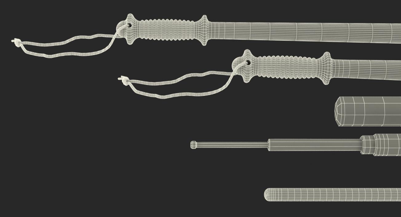 Police Batons Collection 3D model