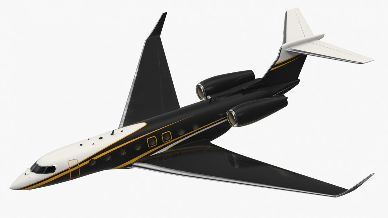 Large Private Jet Flight 3D model