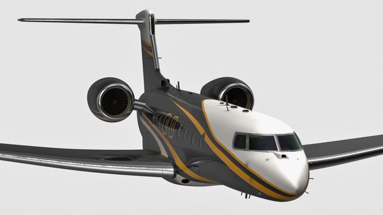 Large Private Jet Flight 3D model