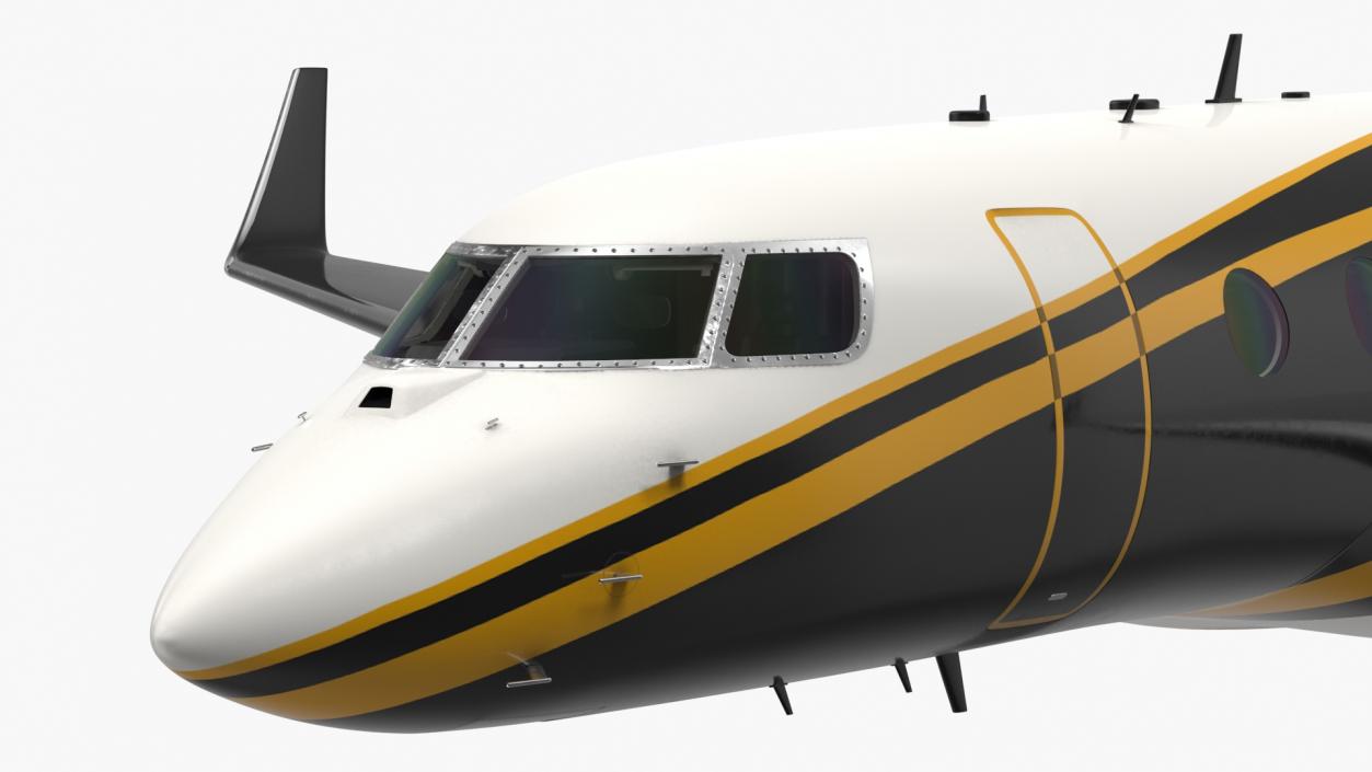 Large Private Jet Flight 3D model