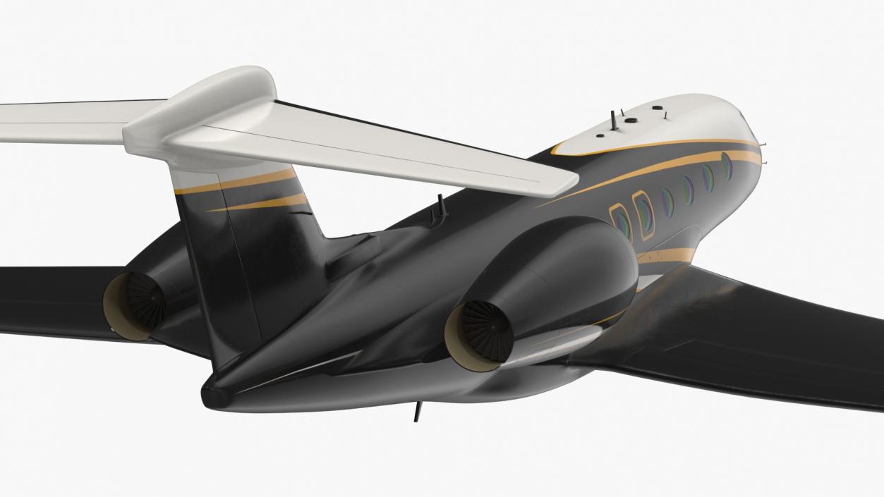 Large Private Jet Flight 3D model