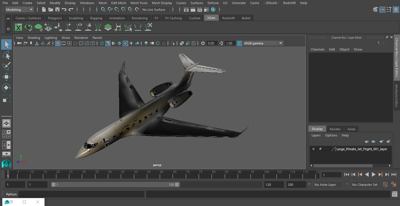 Large Private Jet Flight 3D model