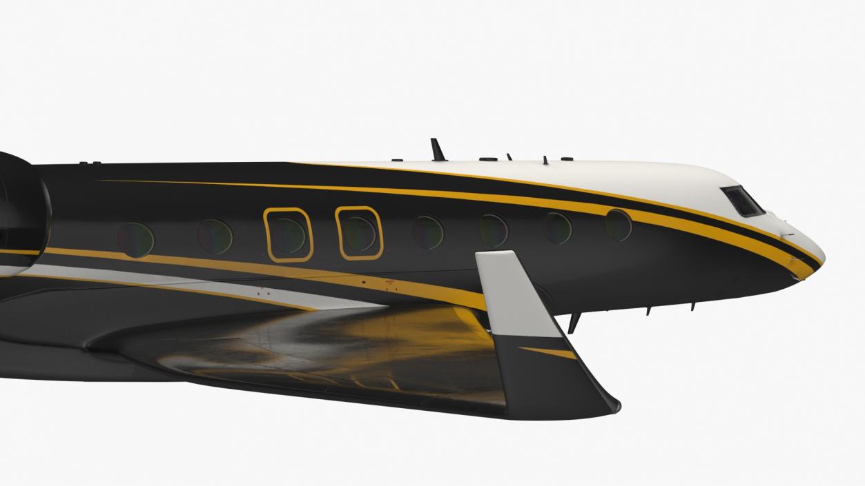 Large Private Jet Flight 3D model