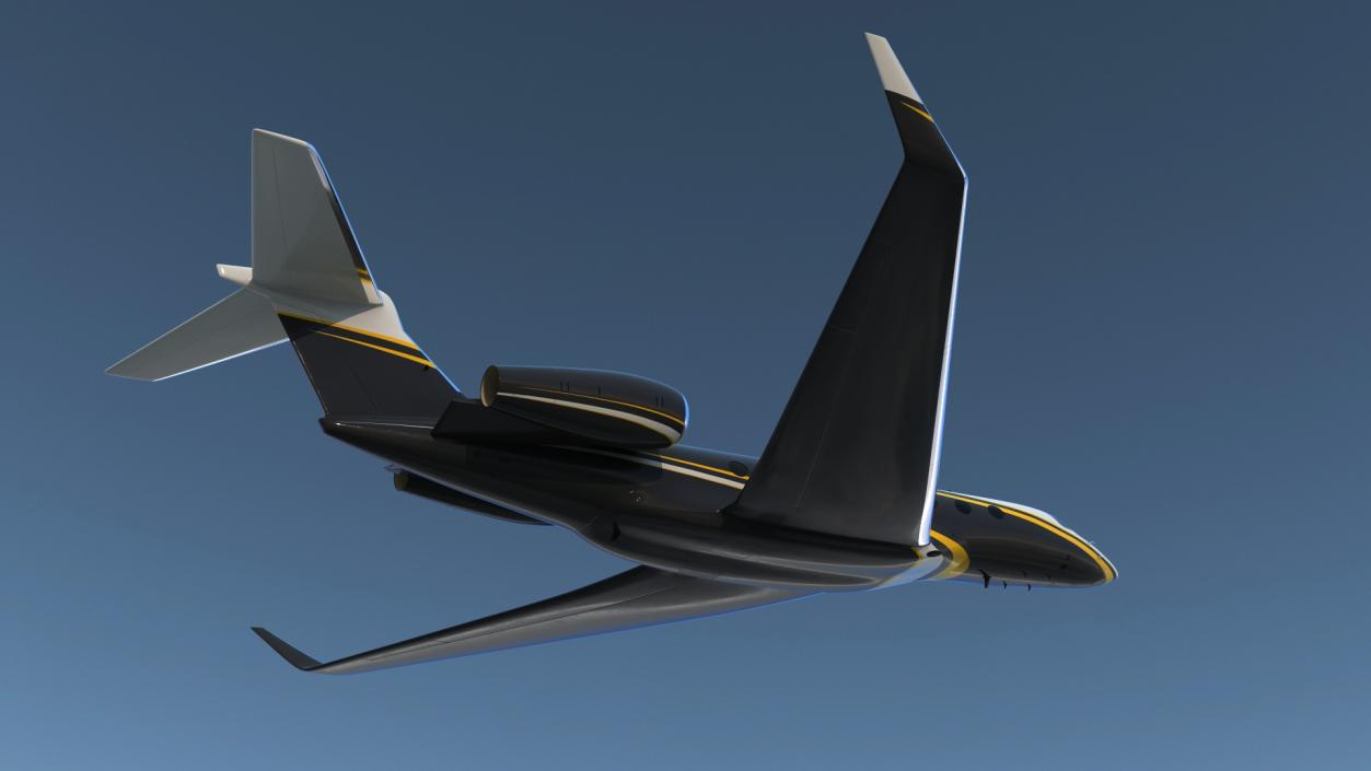 Large Private Jet Flight 3D model